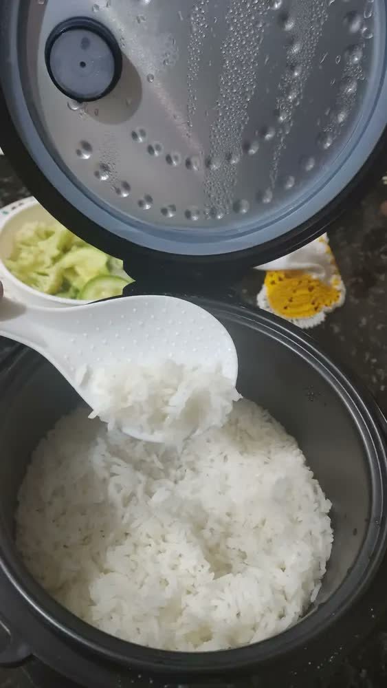 foto de Panela De Arroz Fast Rice 5 Premium Mondial NPE-08-5X