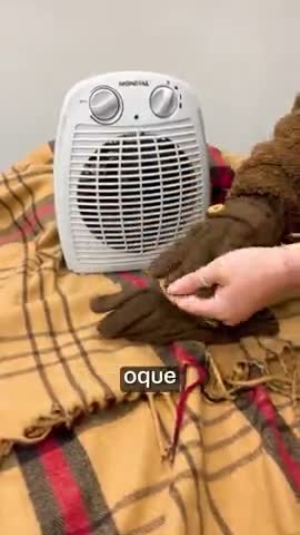 vídeo do produto