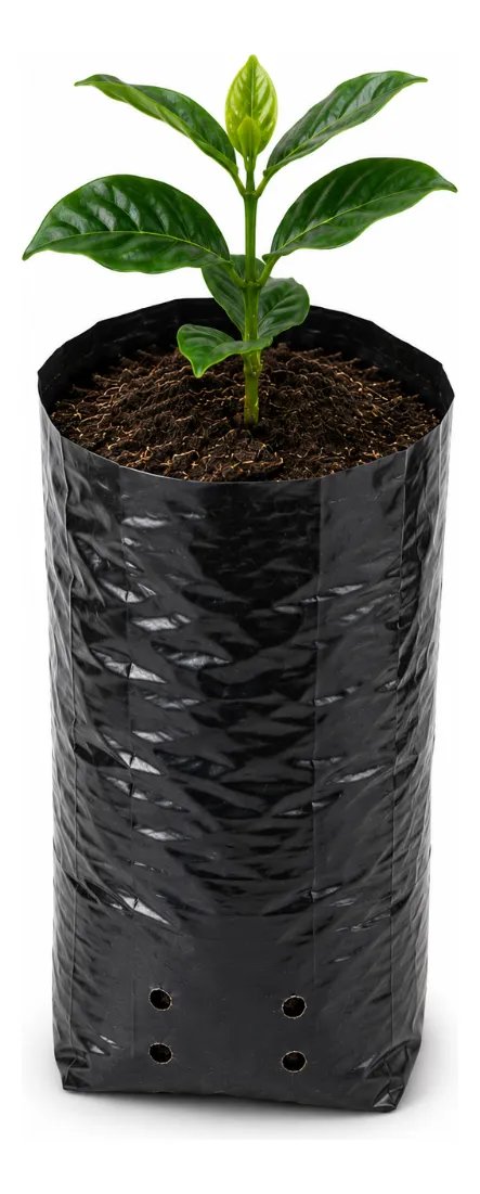 Sacos Para Mudas Café 10x20 60 Micras 3000un Preto Nuplast