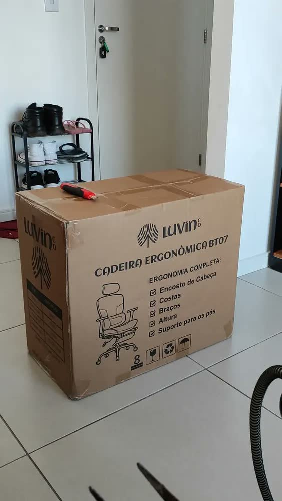 foto de comprador de Cadeira De Escritório Ergonômica Mônaco WT07 Luvinco Malha Respirável Com Suporte Lombar Adaptável Apoio Para Pés Retrátil Encosto Ajustável Seis Posições Cor Cinza Suporta 200kg