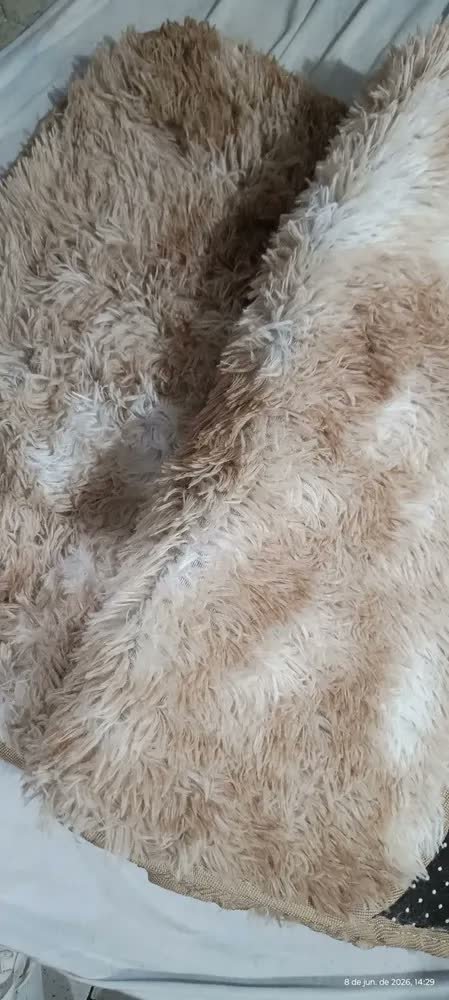 foto de comprador de Tapete 2,00x0,60 Peludo Felpudo Sala E Quarto Cores