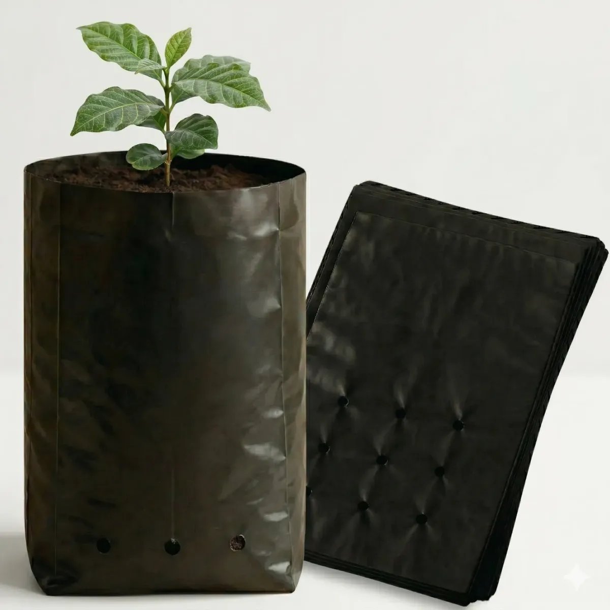 Saco Para Mudas Hortaliças 15x25 60 Micras 500un Nuplast