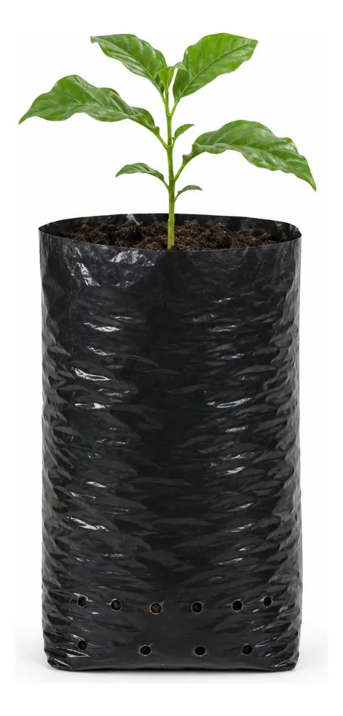 foto de comprador de Saco Para Mudas Café 10x20 60 Micras 1000un Preto Nuplast